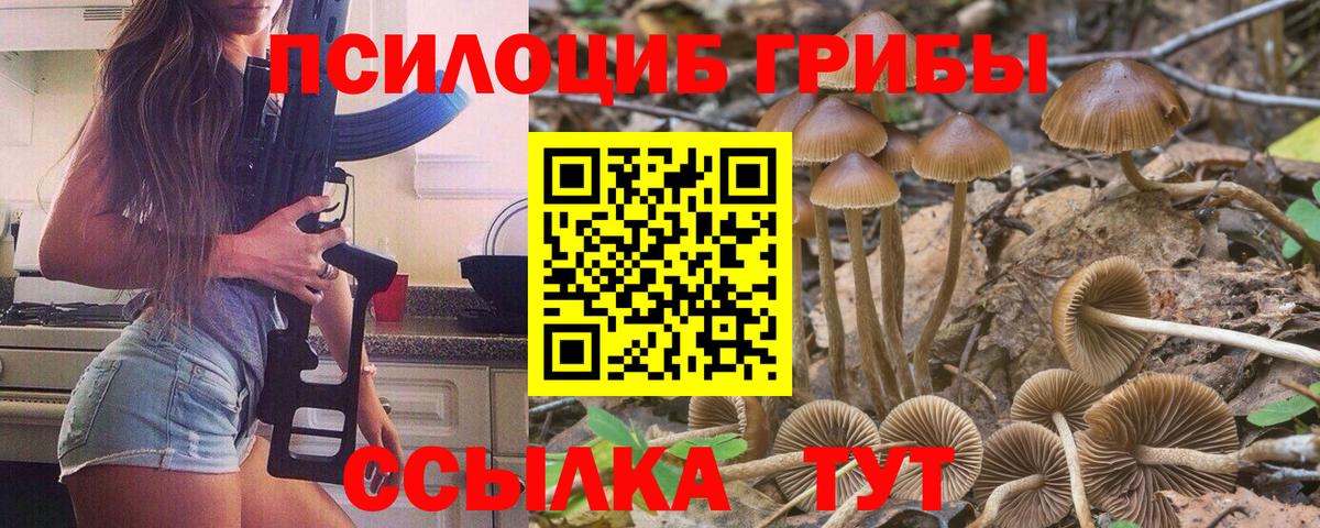 Галлюциногенные грибы мухоморы  Галлюциногенные грибы MAGIC MUSHROOMS  Вход с VPN  Котовск 