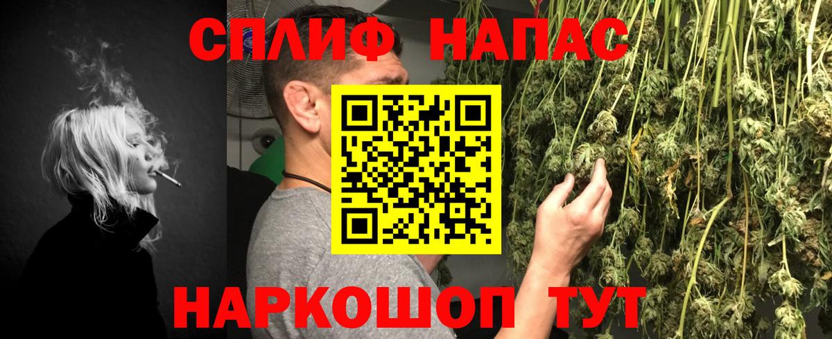 Бошки Шишки SATIVA & INDICA  Каннабис семена  Котовск  Канабис Ganja  Вход с VPN 